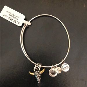 Alex and Ani Spirited Skull Bracelet